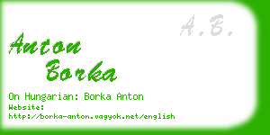 anton borka business card